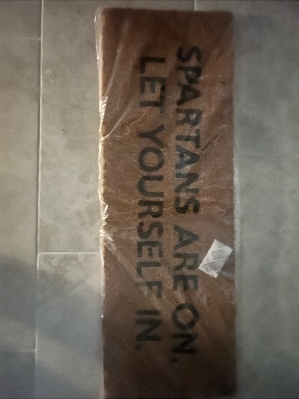 Doormat “Spartans are on..” 30”x10”